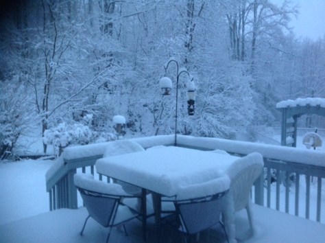 our deck this morning, 7:30 am